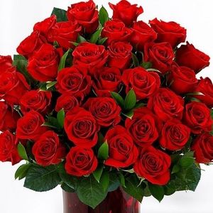 Meet your Posher, Lina